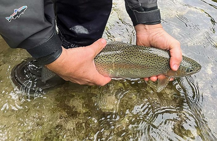 fliegenfischen steiermark