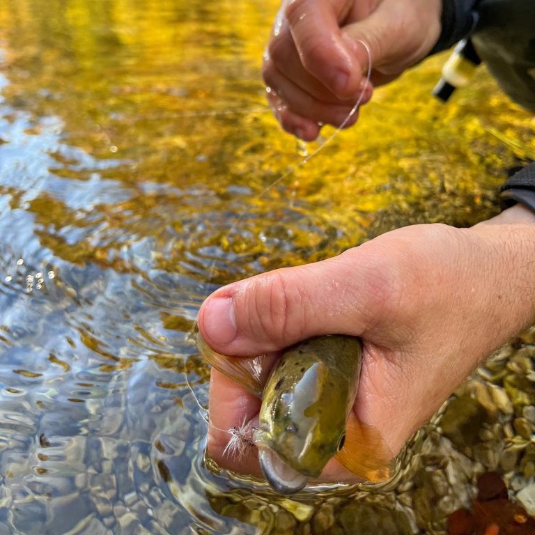 fliegenfischen salza